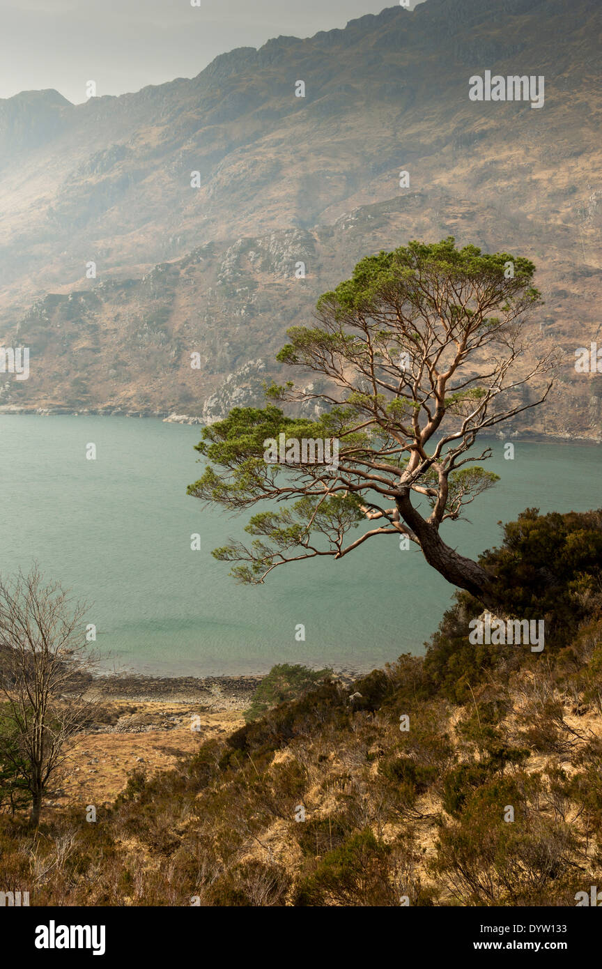 SEA GREEN WATERS OF THE LOCH AT KINLOCH HOURN SCOTLAND WITH CALEDONIAN