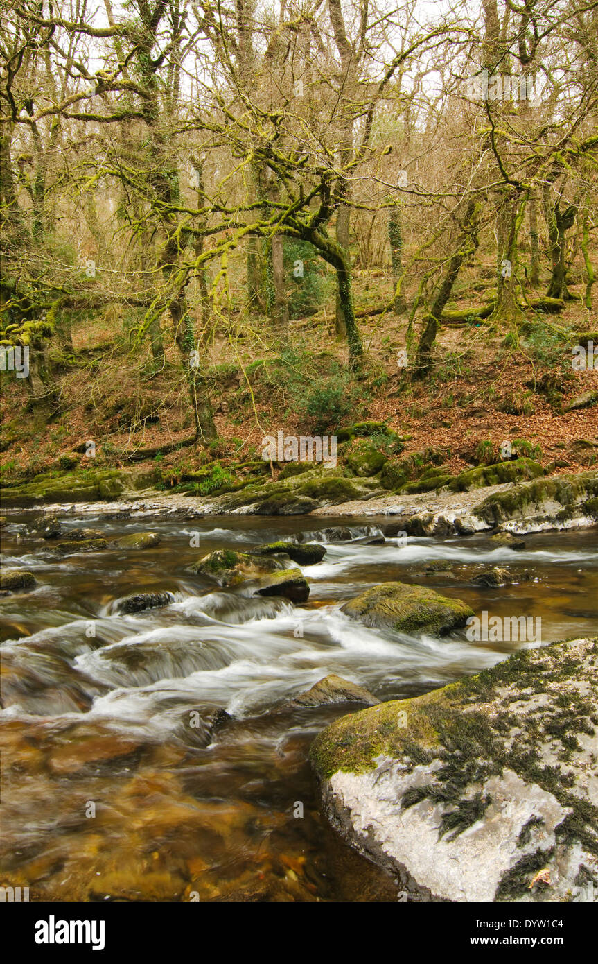 The river Lyn Stock Photo - Alamy