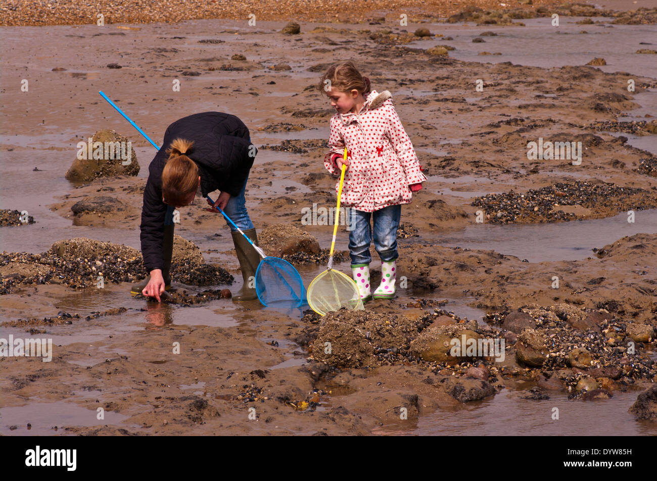 Mother and Daughter Rockpool Fishing Stock Photo