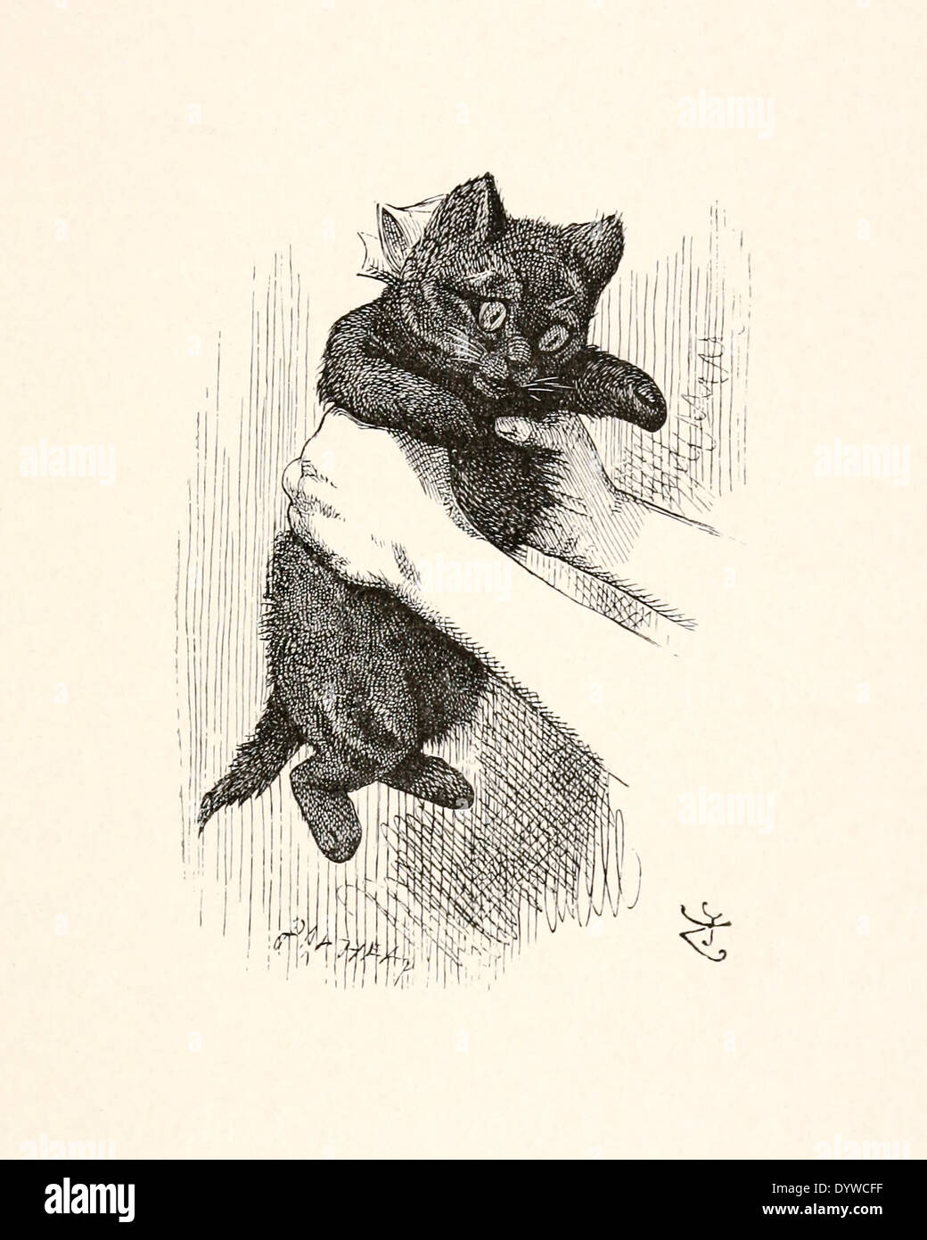 John Tenniel (1820-1914) illustration from Lewis Carroll's 'Through the Looking-Glass’ published in 1871. The Black Kitten Stock Photo