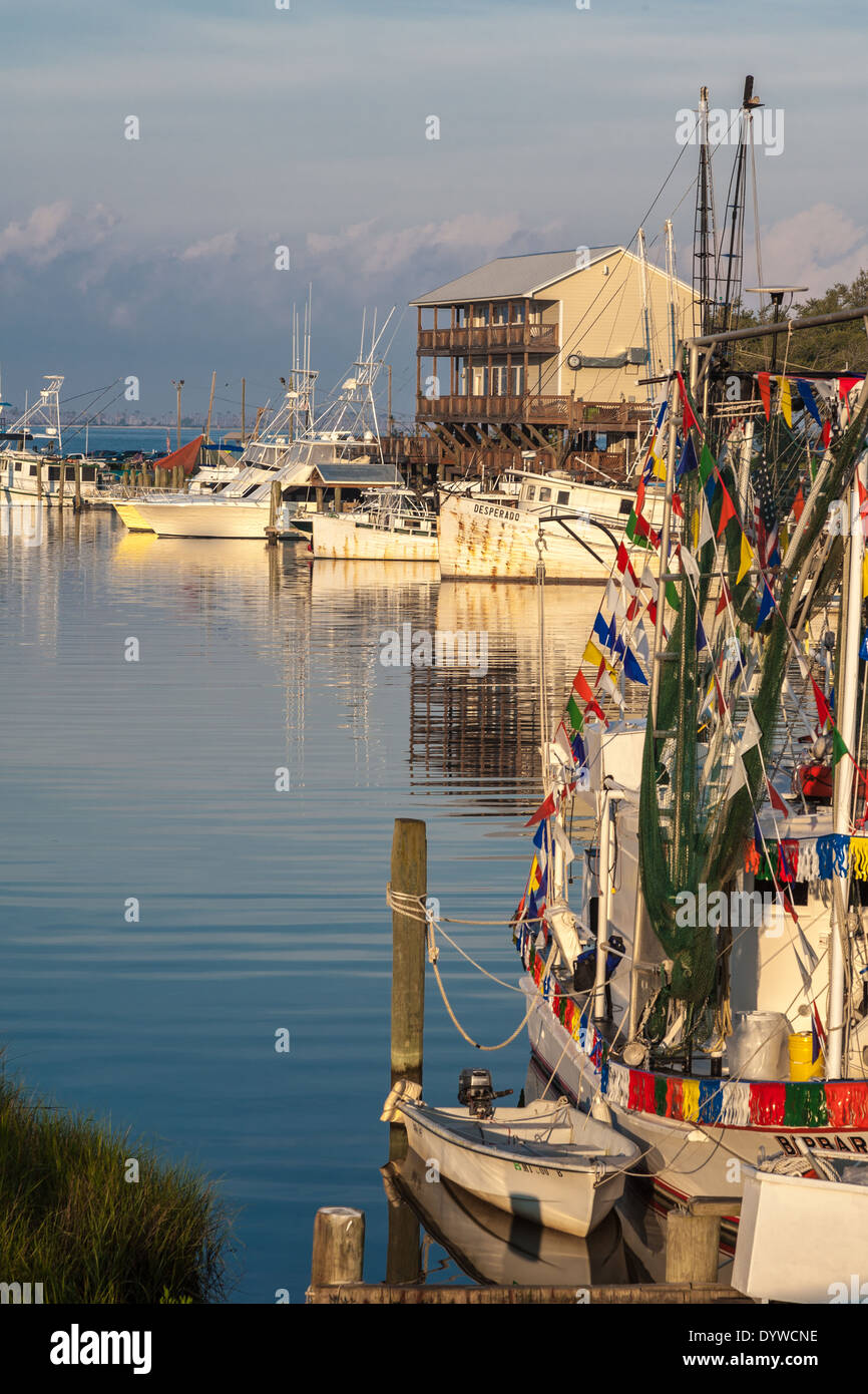 Private and commercial fishing boats docked in the harbor at Ocean