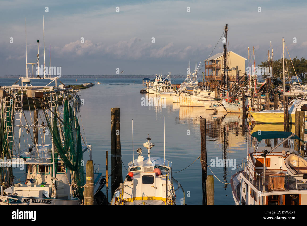 Private and commercial fishing boats docked in the harbor at Ocean