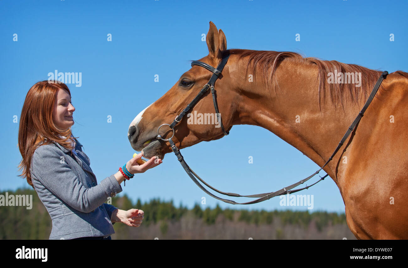 Red haired girl giving horse an apple Stock Photo