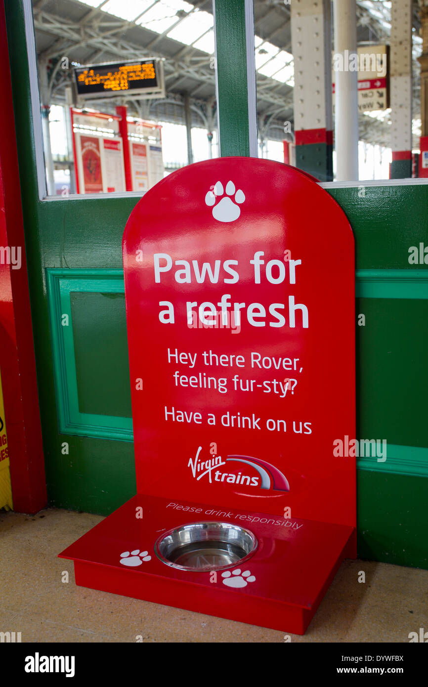 Dog s water bowl hi res stock photography and images Page 2 Alamy