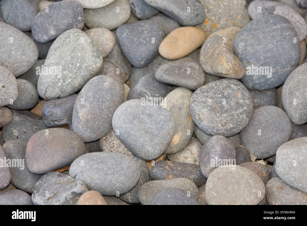 River Rocks Collection Stock Photo