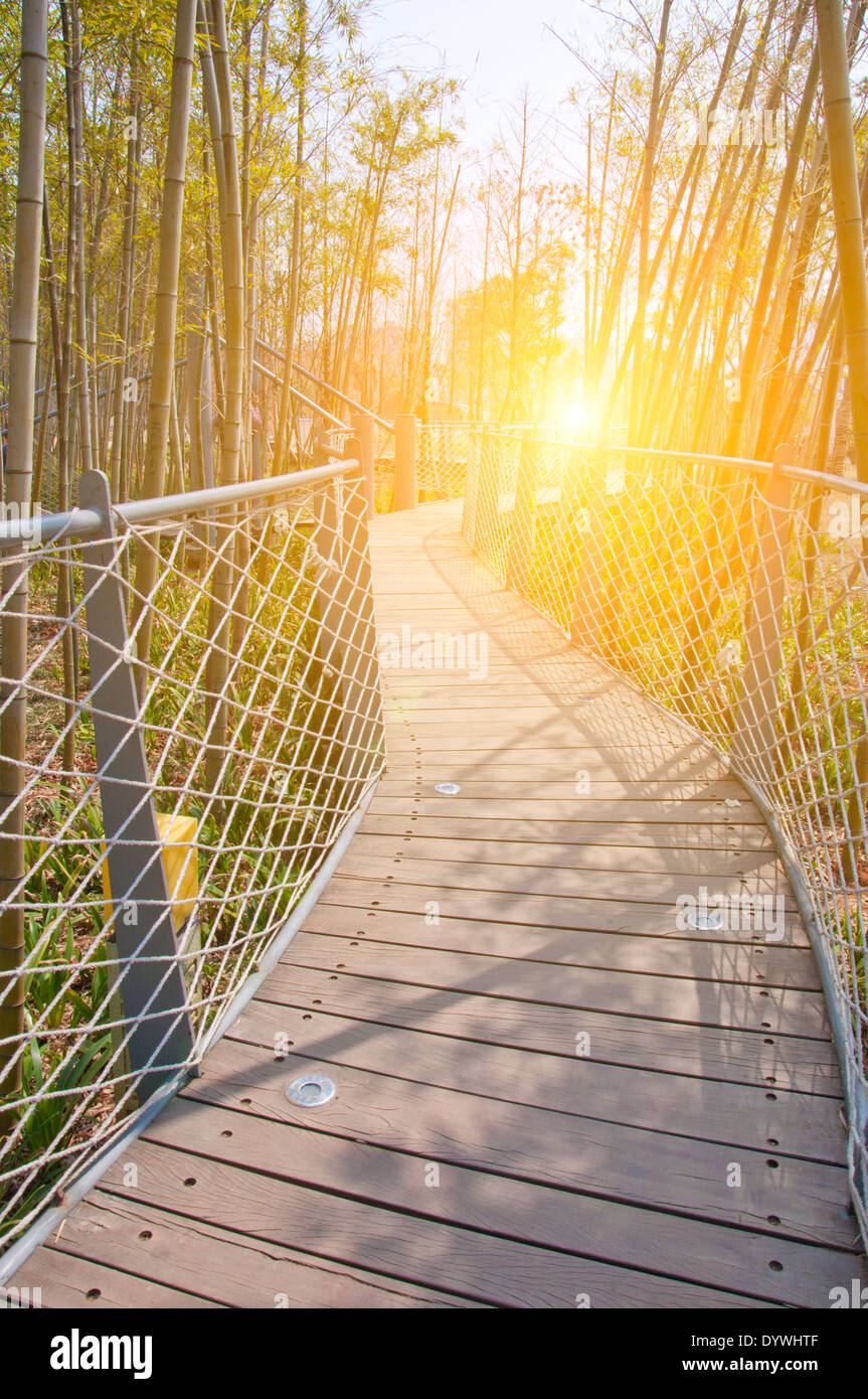 park iron chain bridge in bamboo forest Stock Photo