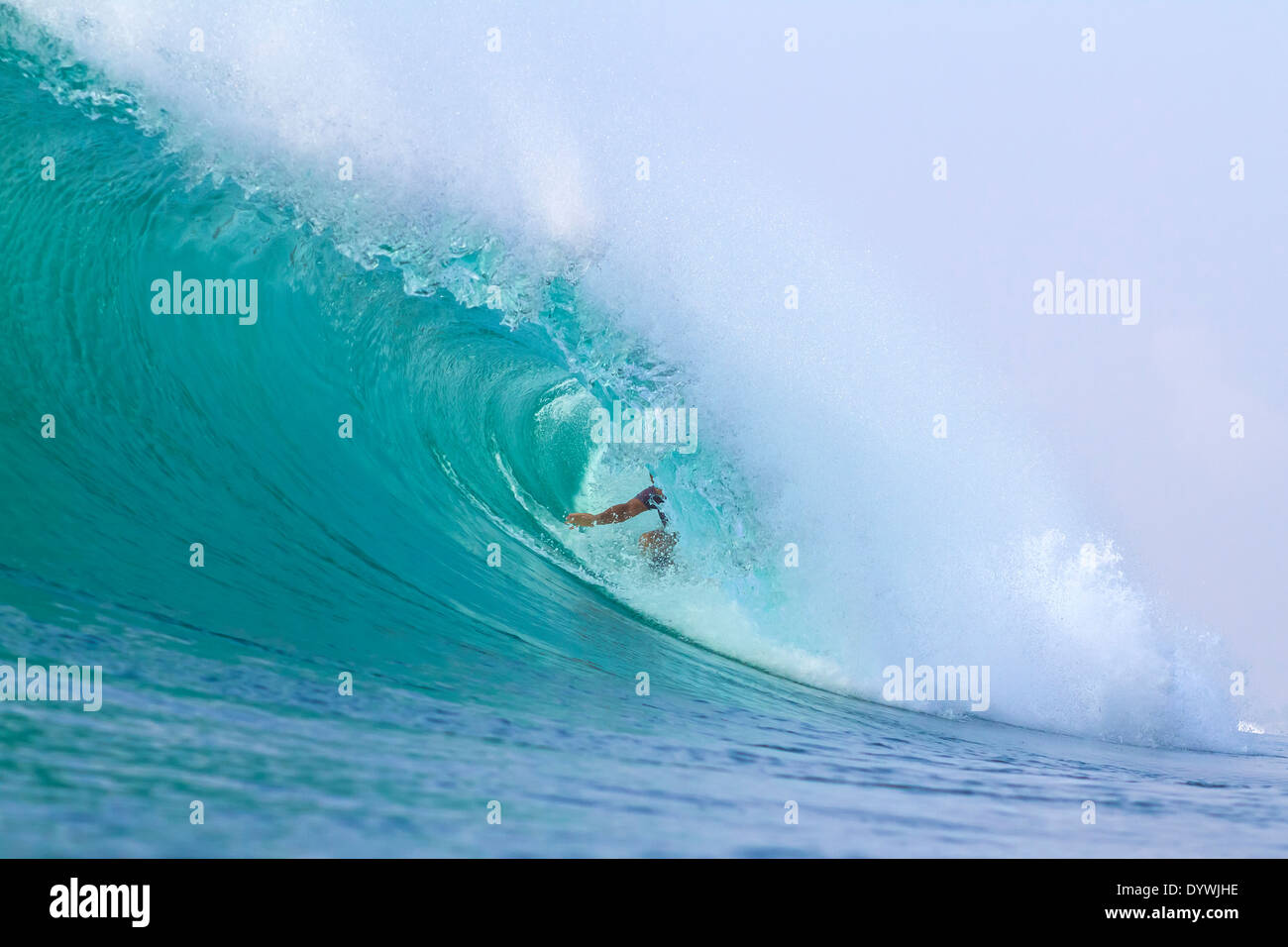 surfing a wave Stock Photo Alamy
