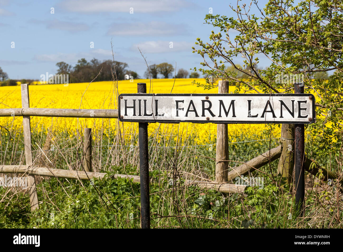 Hill Farm Lane sign, St Albans, Hertfordshire, England, UK. Stock Photo