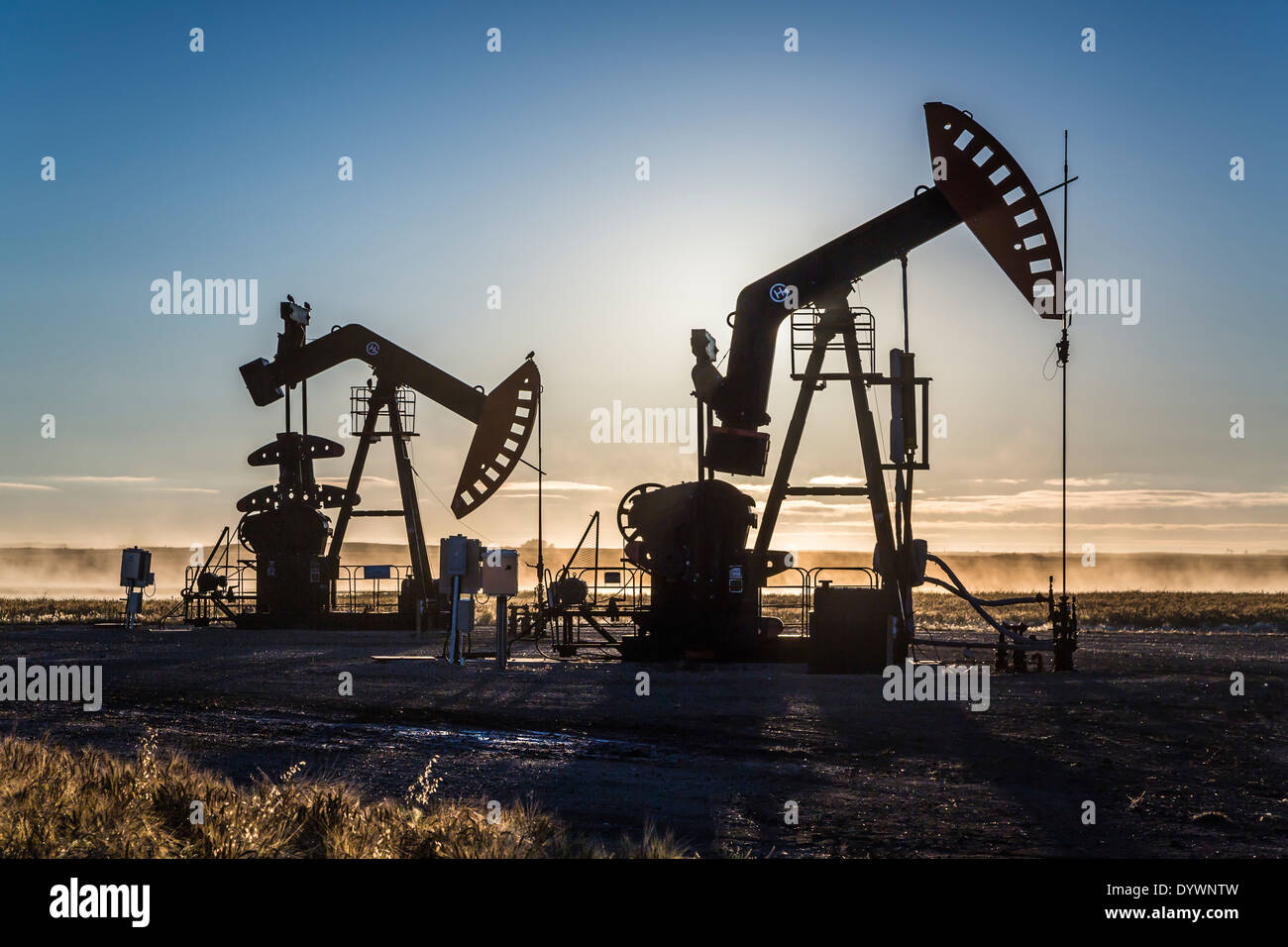 Bakken oil field pumpers at sunrise near Stoughton, Saskatchewan, Canada. Stock Photo