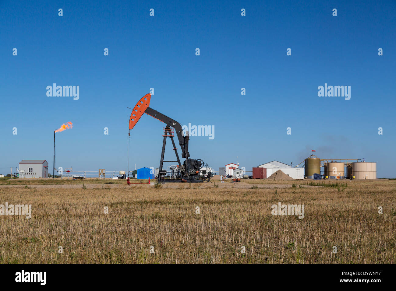 An oil production pumper and flaring gas in the Bakken field near Stoughton, Saskatchewan, Canada. Stock Photo