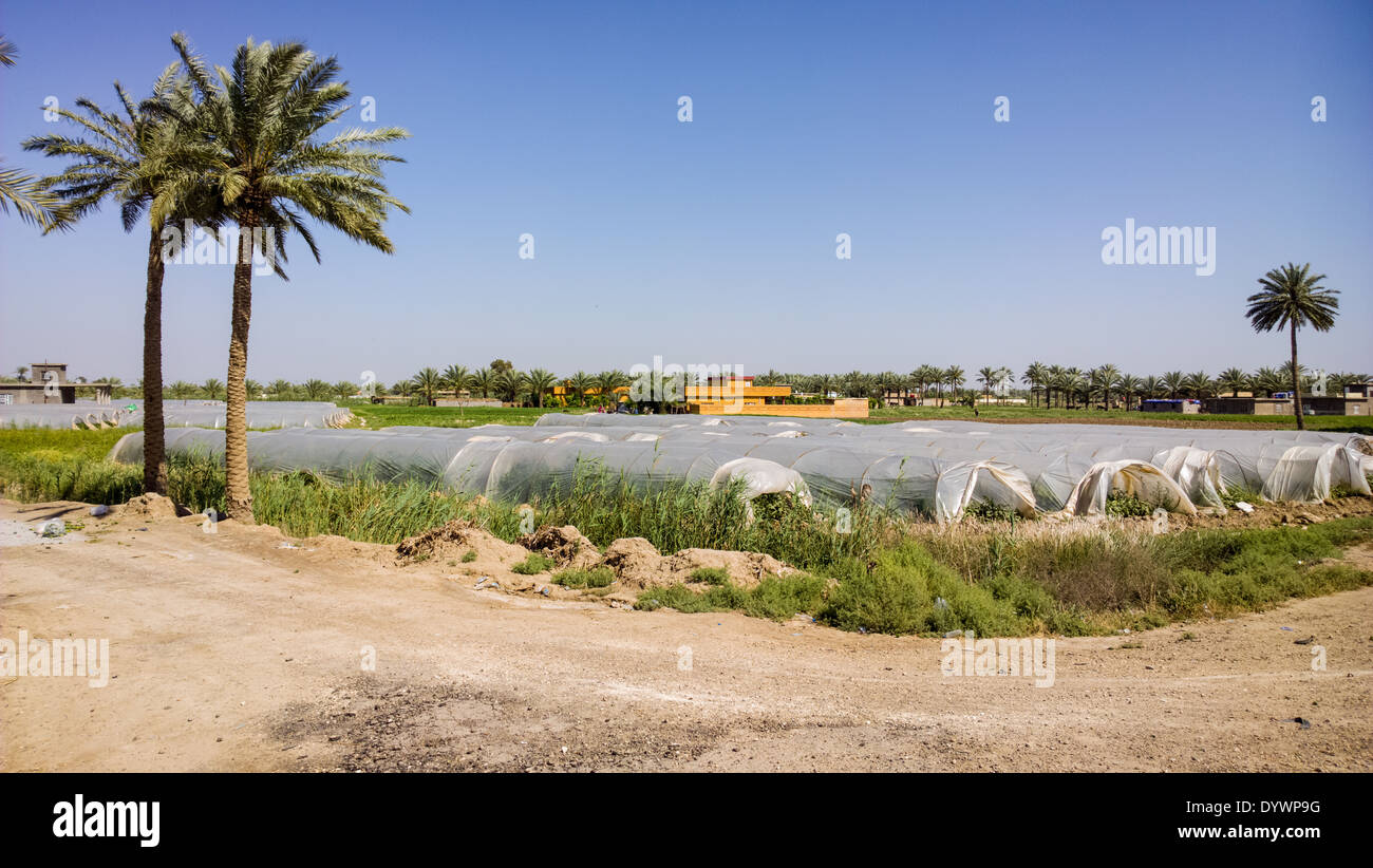 Iraqi countryside Stock Photo