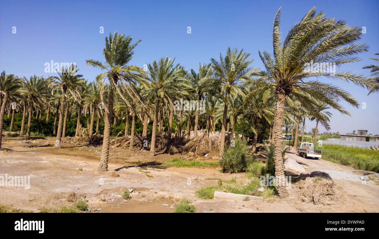 Iraqi countryside Stock Photo