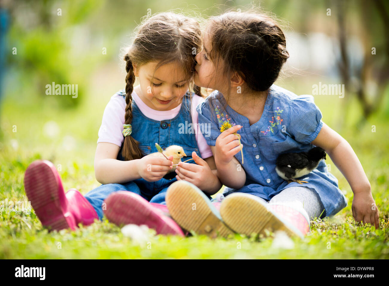 Two little girls with chickens Stock Photo