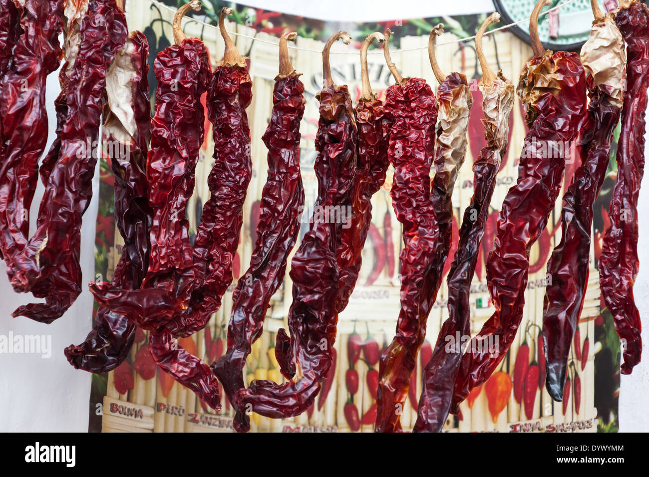 Hanged peppers in the city of alberobello, apulia, italy Stock Photo ...