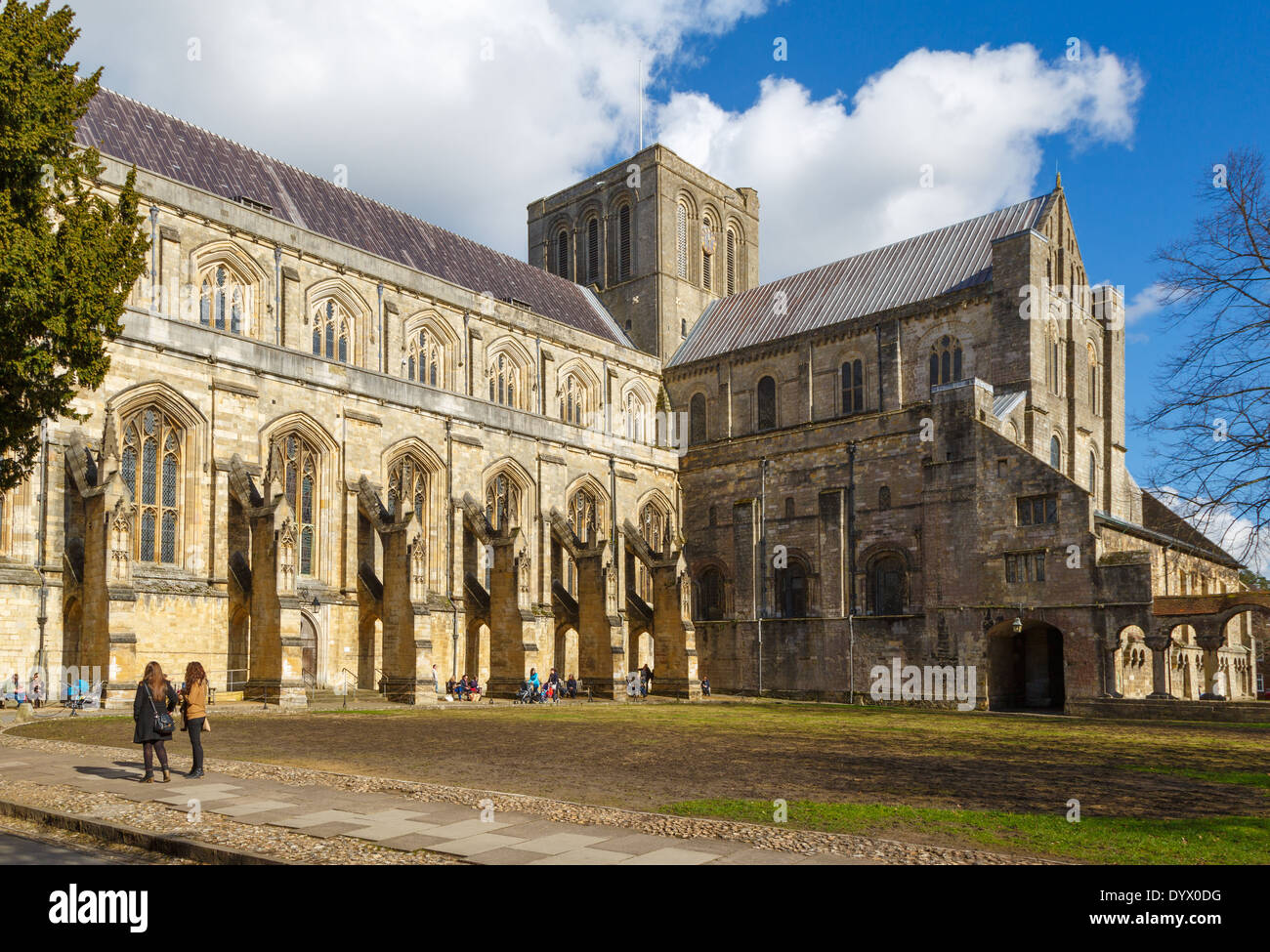 Winchester Cathedral, Winchester, Hampshire Stock Photo - Alamy