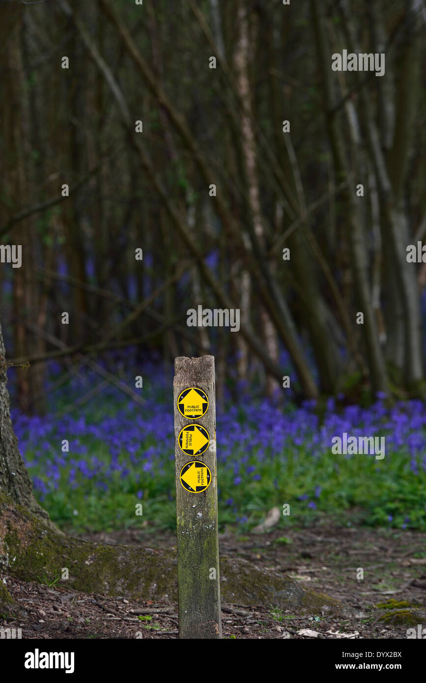 Public footpath sign at a bluebell wood. Guestling, Pett, East Sussex. UK Stock Photo