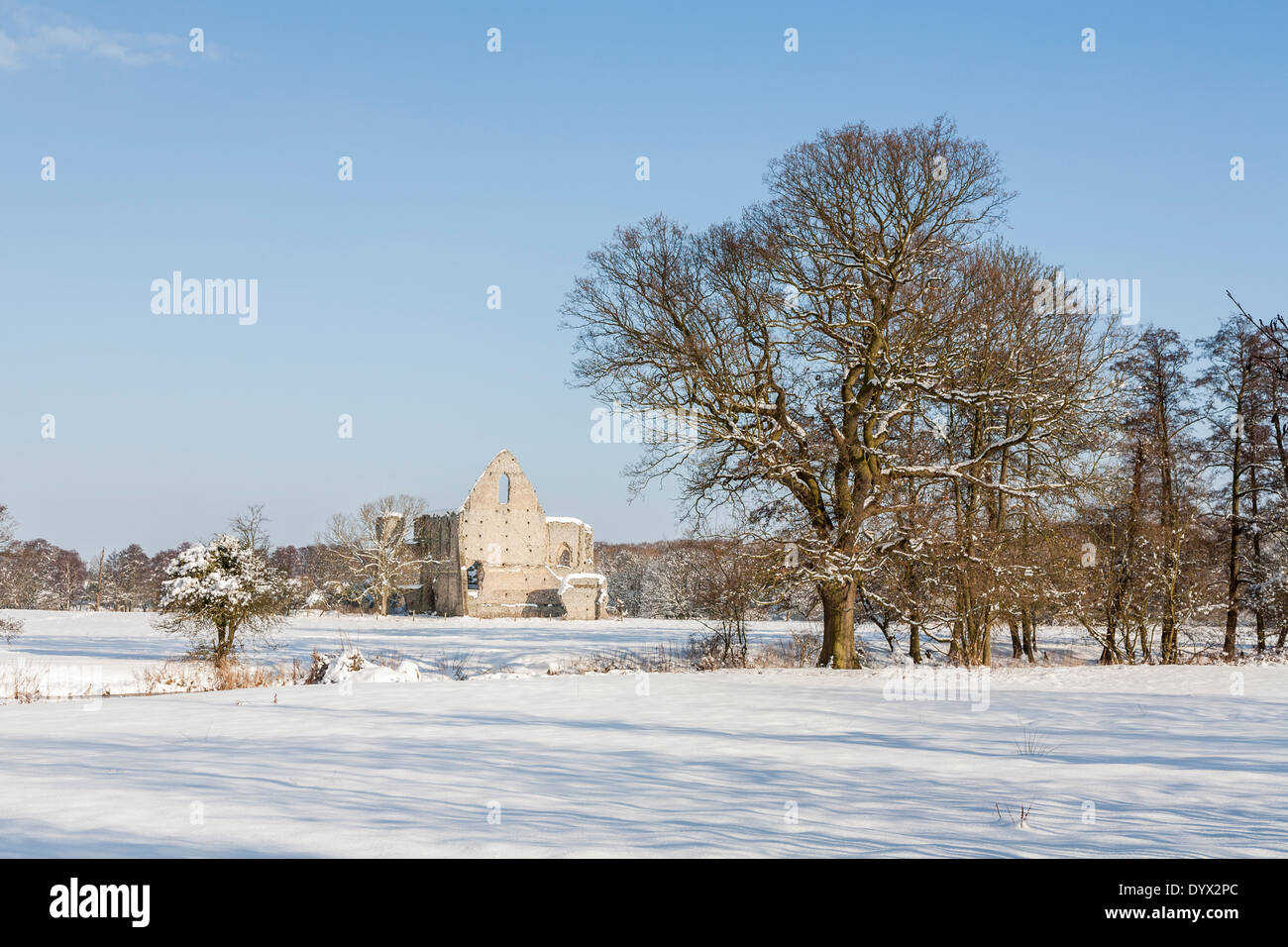 Newark Priory, monastery ruins near Pyrford, Surrey, destroyed by Henry