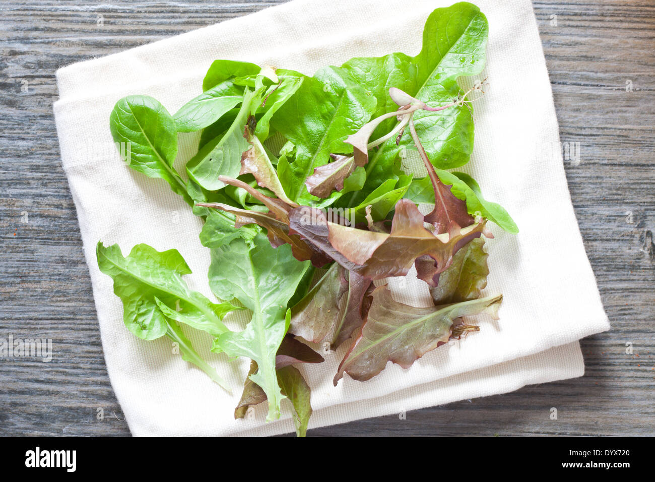 Rocket leaves hi-res stock photography and images - Alamy