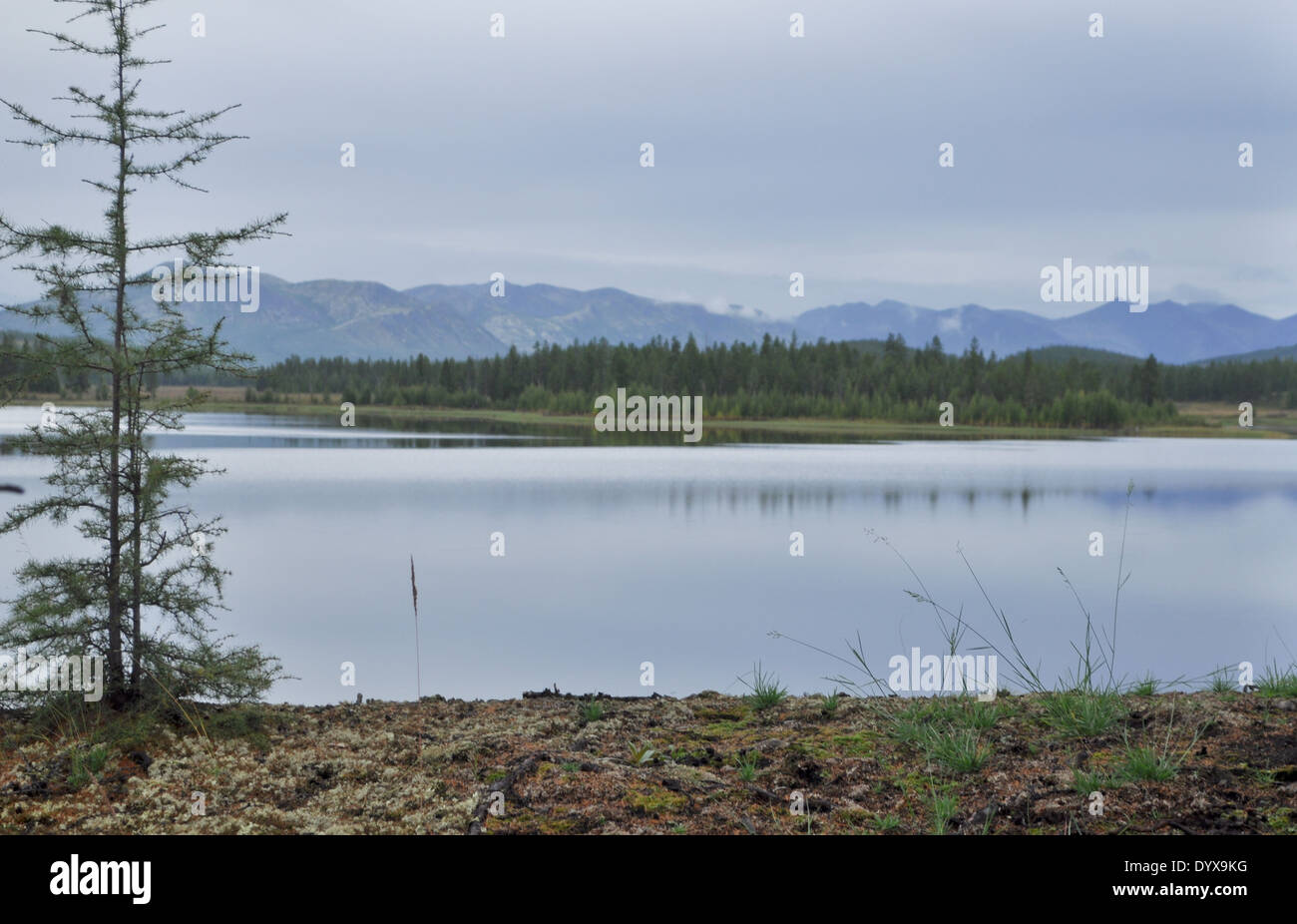 Yakut landscape in the area of Oymyakon highland ridge Suntarkhayata
