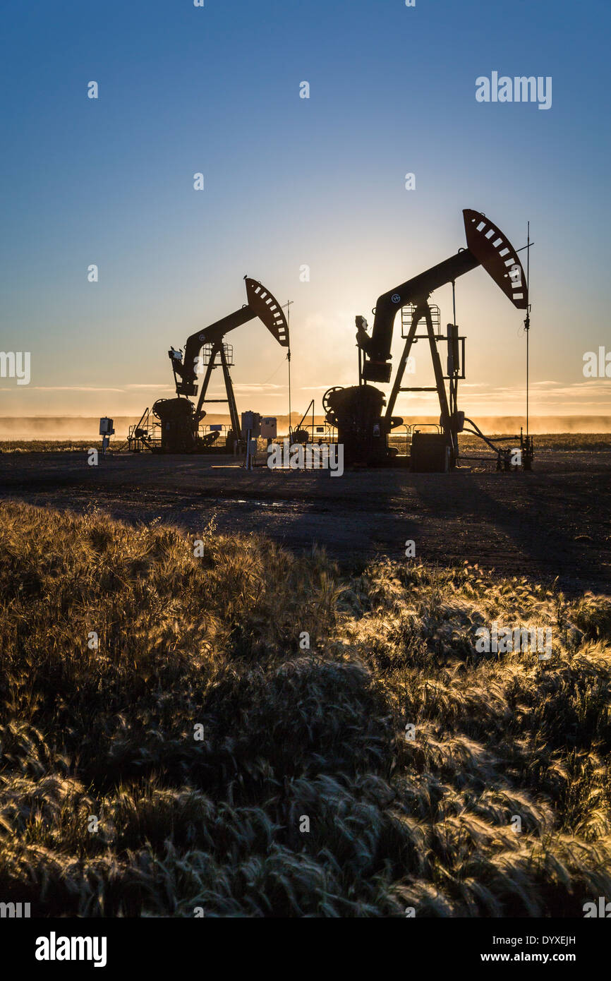 Bakken oil field pumpers at sunrise near Stoughton, Saskatchewan, Canada. Stock Photo
