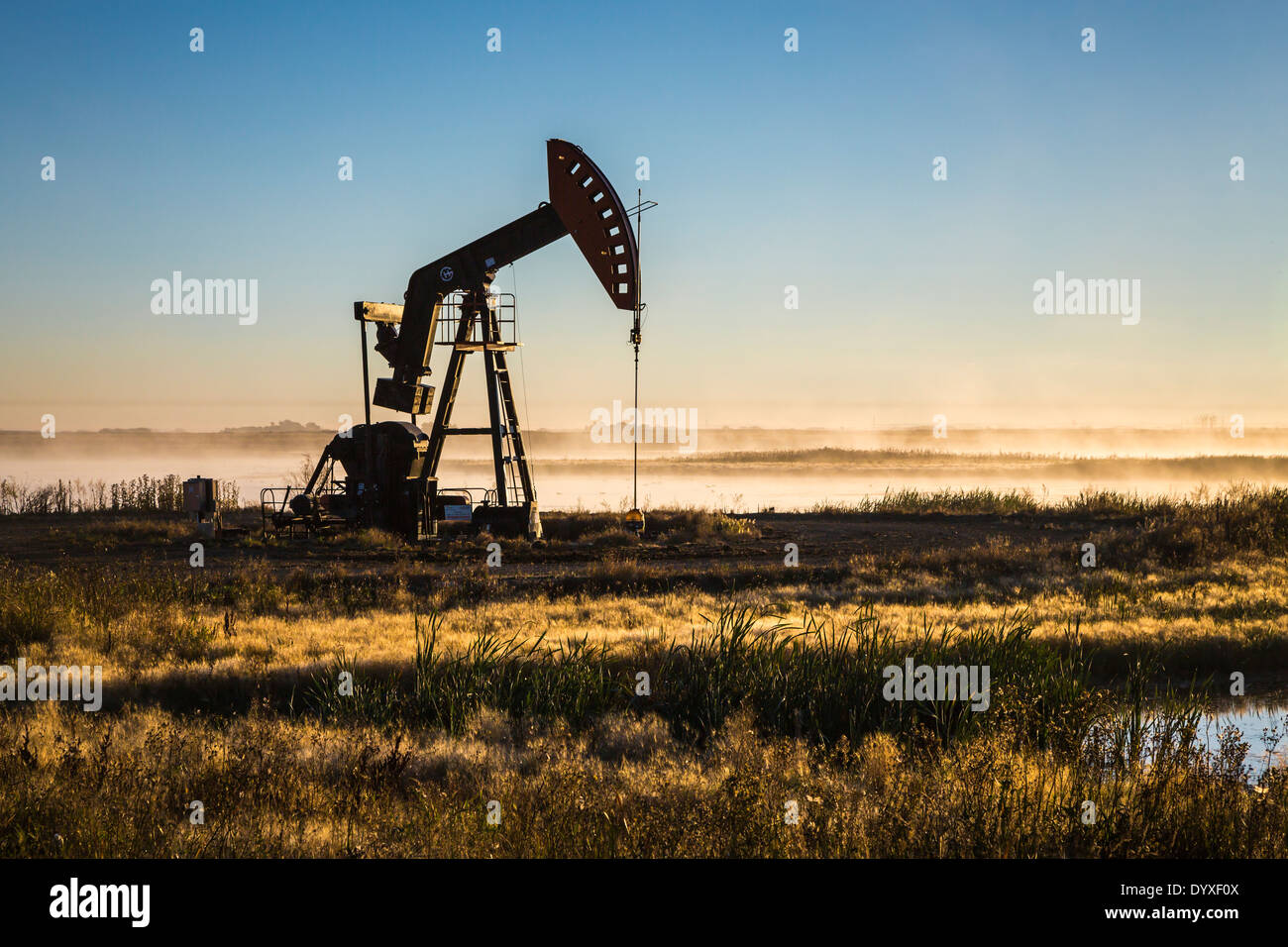 Bakken oil field pumpers at sunrise near Stoughton, Saskatchewan, Canada. Stock Photo