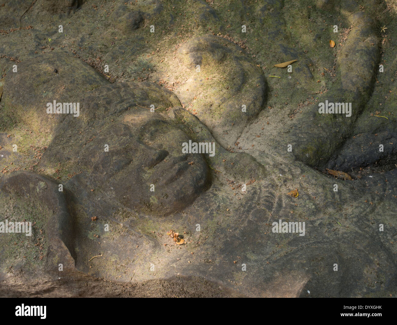 Kbal Spean carvings in the riverbed northeast of Angkor. Siem Reap, Cambodia Stock Photo
