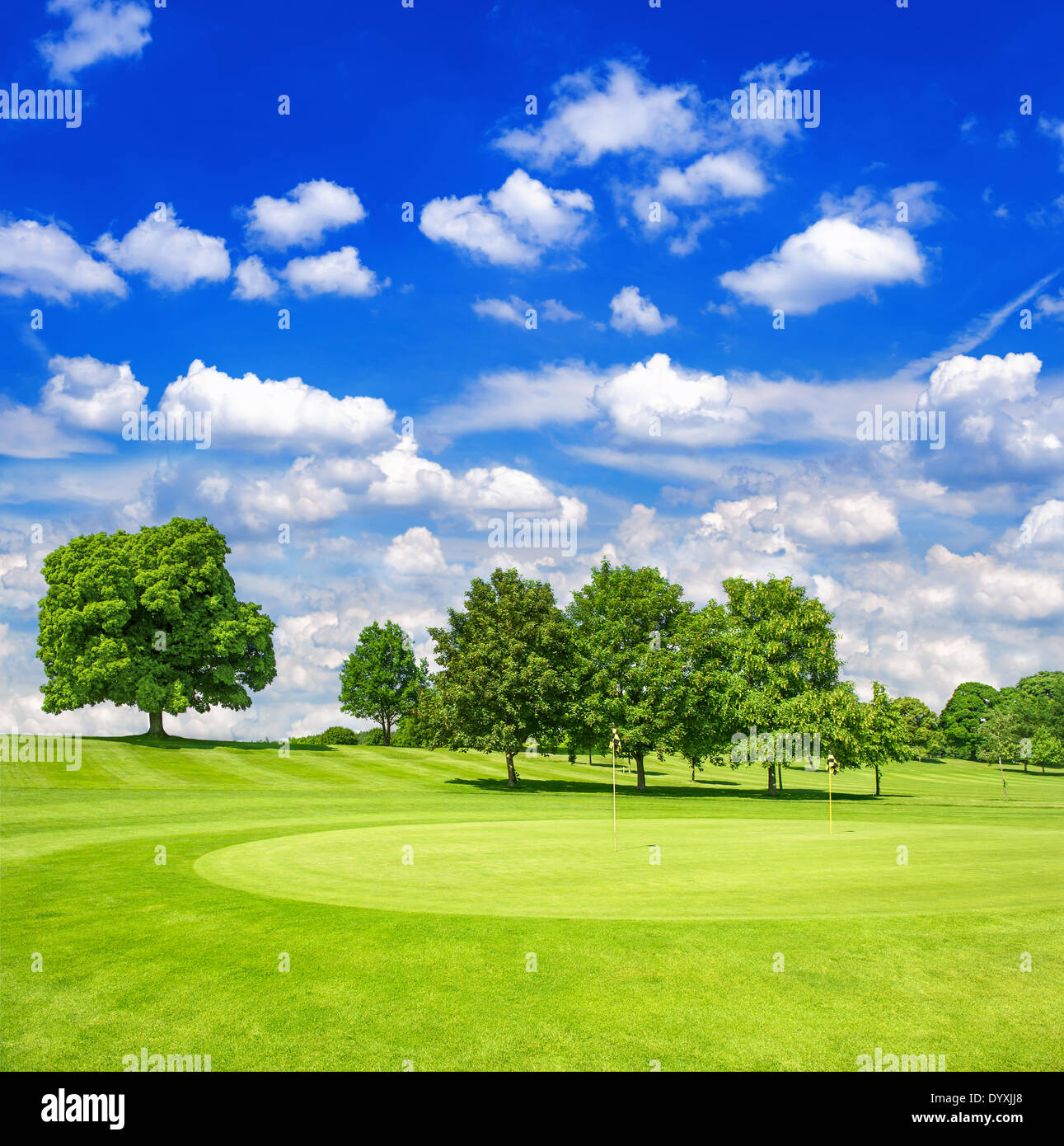 green golf course and blue cloudy sky. european field with trees