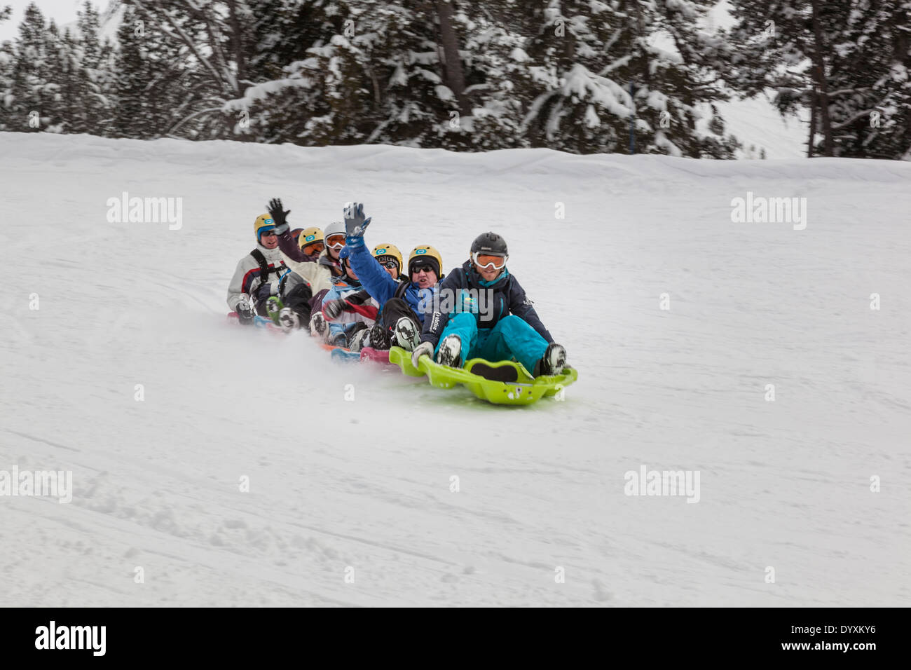 Linked toboggans speed down the piste to the enjoyment of all the riders. Stock Photo