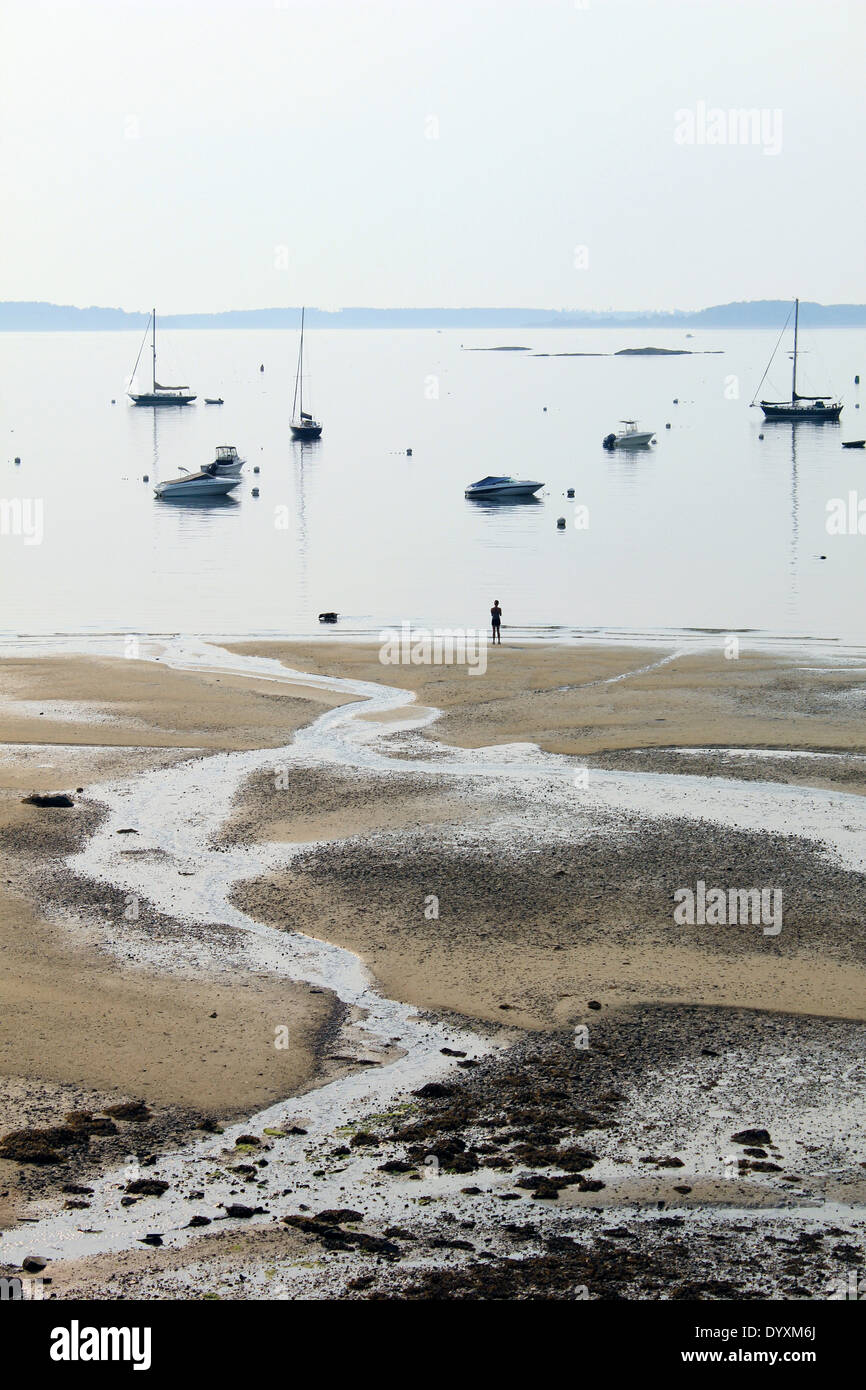 Casco Bay Falmouth Maine low tide silhouette Stock Photo Alamy