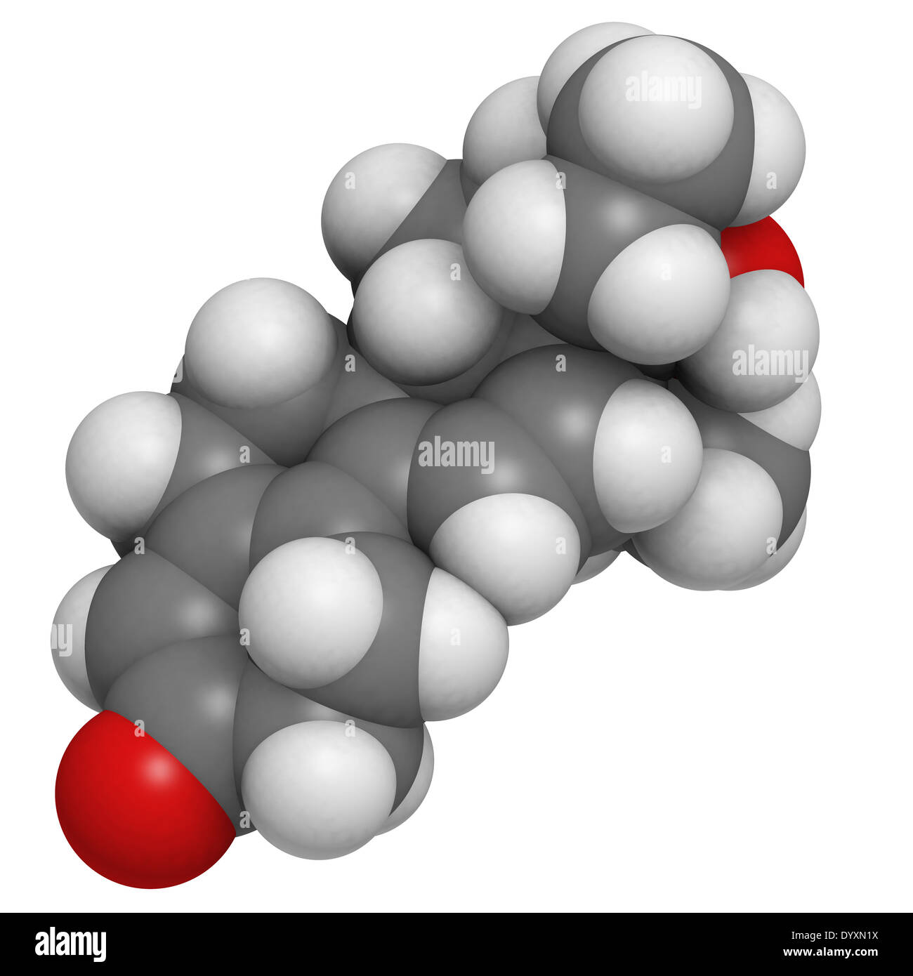 3 Ways To Master do steroids make you hungry Without Breaking A Sweat