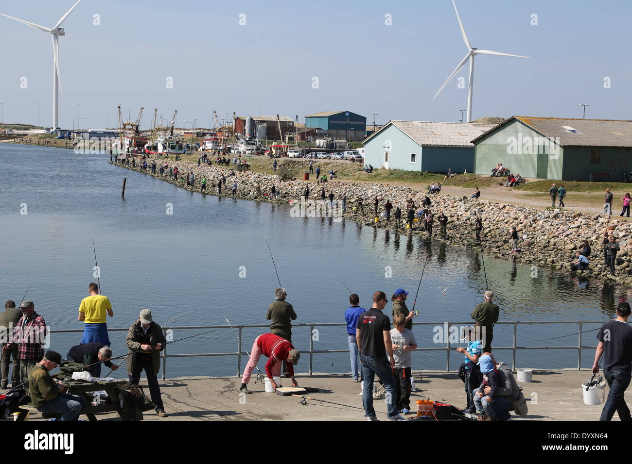 Herring spawn hires stock photography and images Alamy