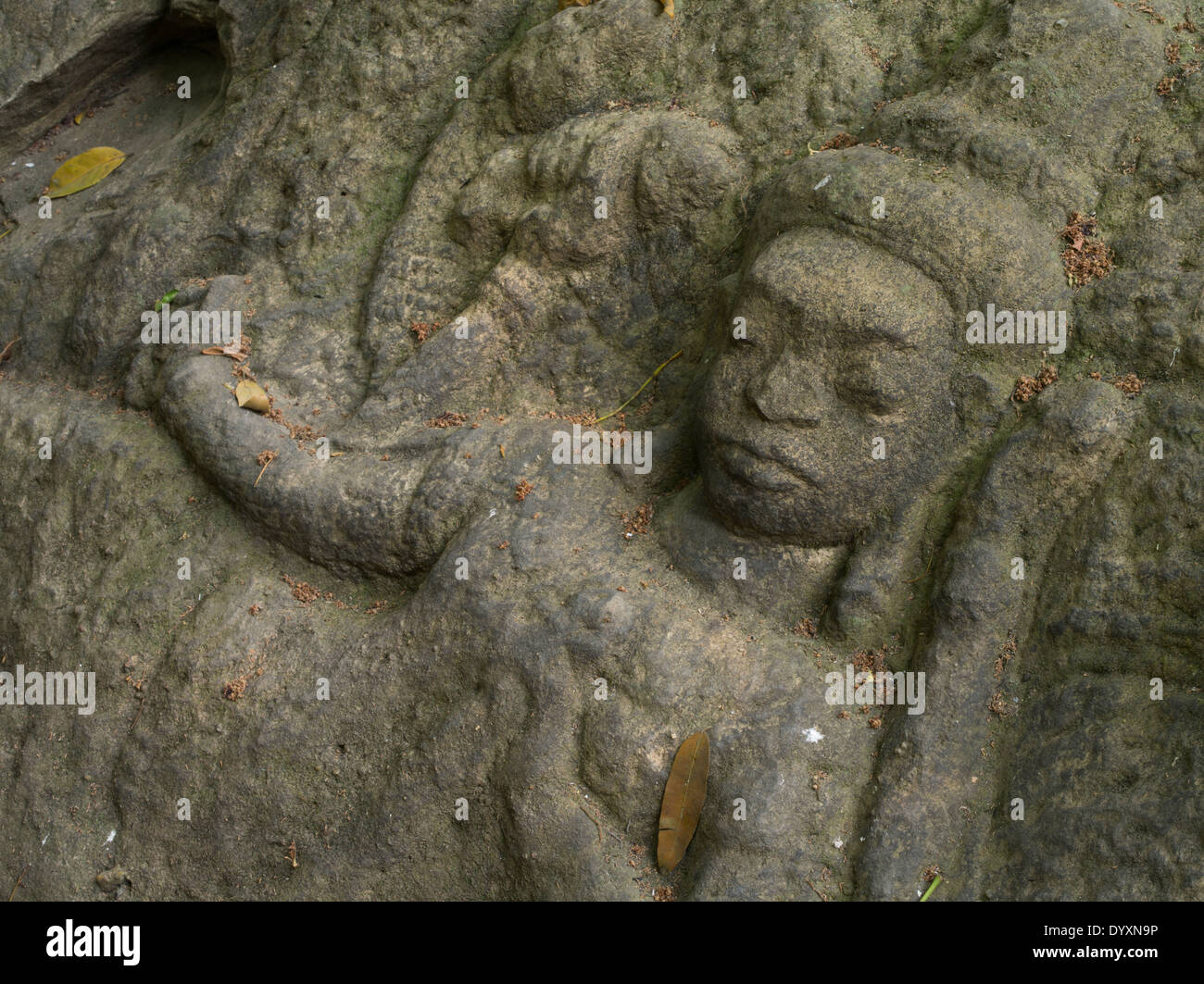 Kbal Spean carvings in the riverbed northeast of Angkor. Siem Reap, Cambodia Stock Photo