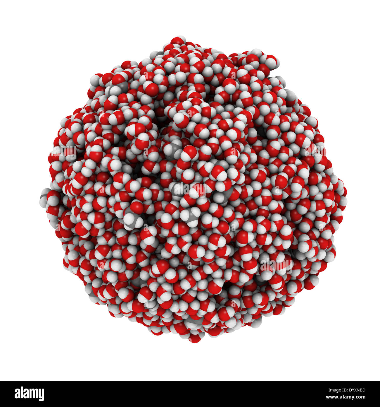 Vinegar model of the molecular composition of vinegar (acetic acid in