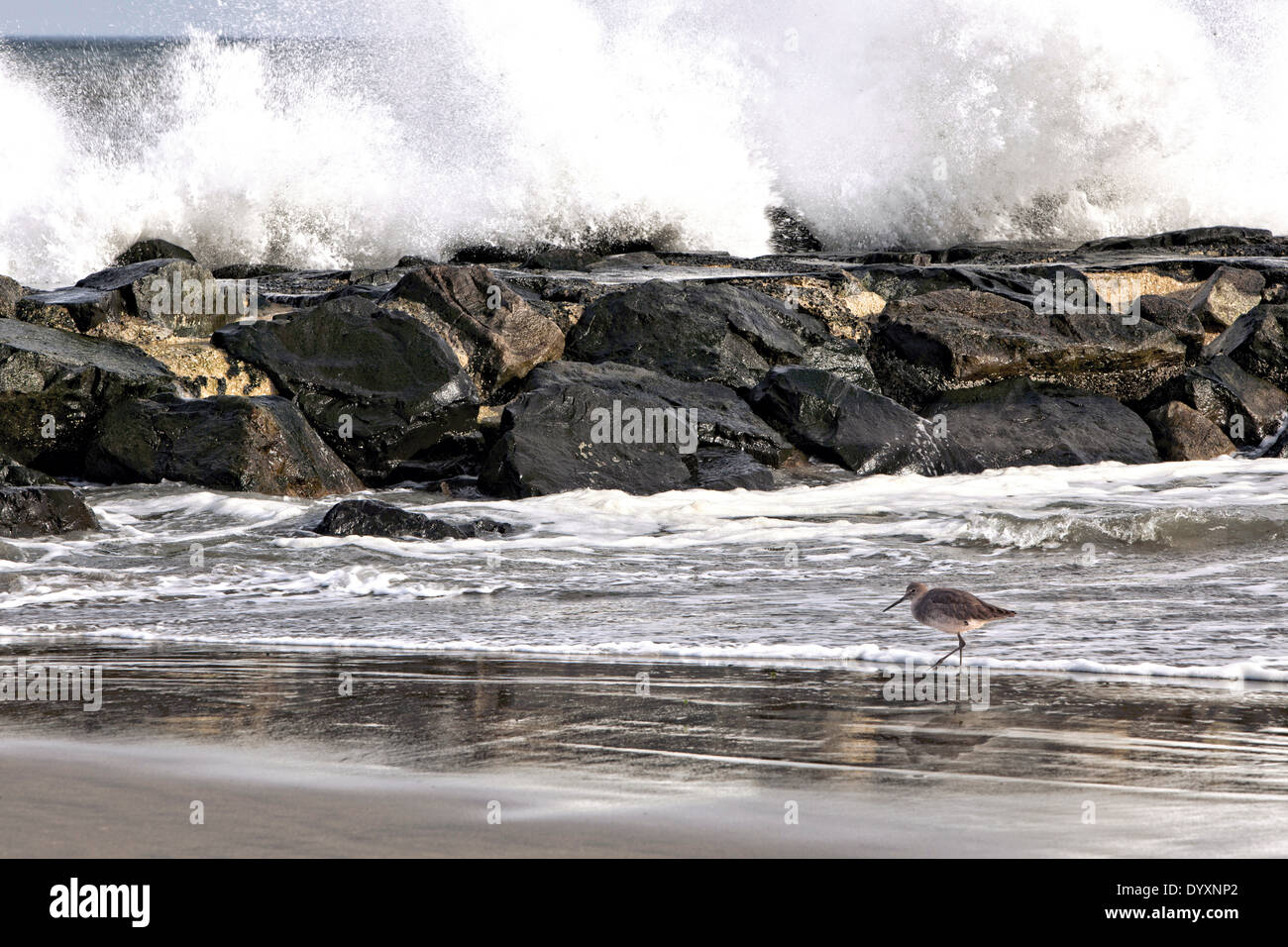 The roar of the ocean hires stock photography and images Alamy