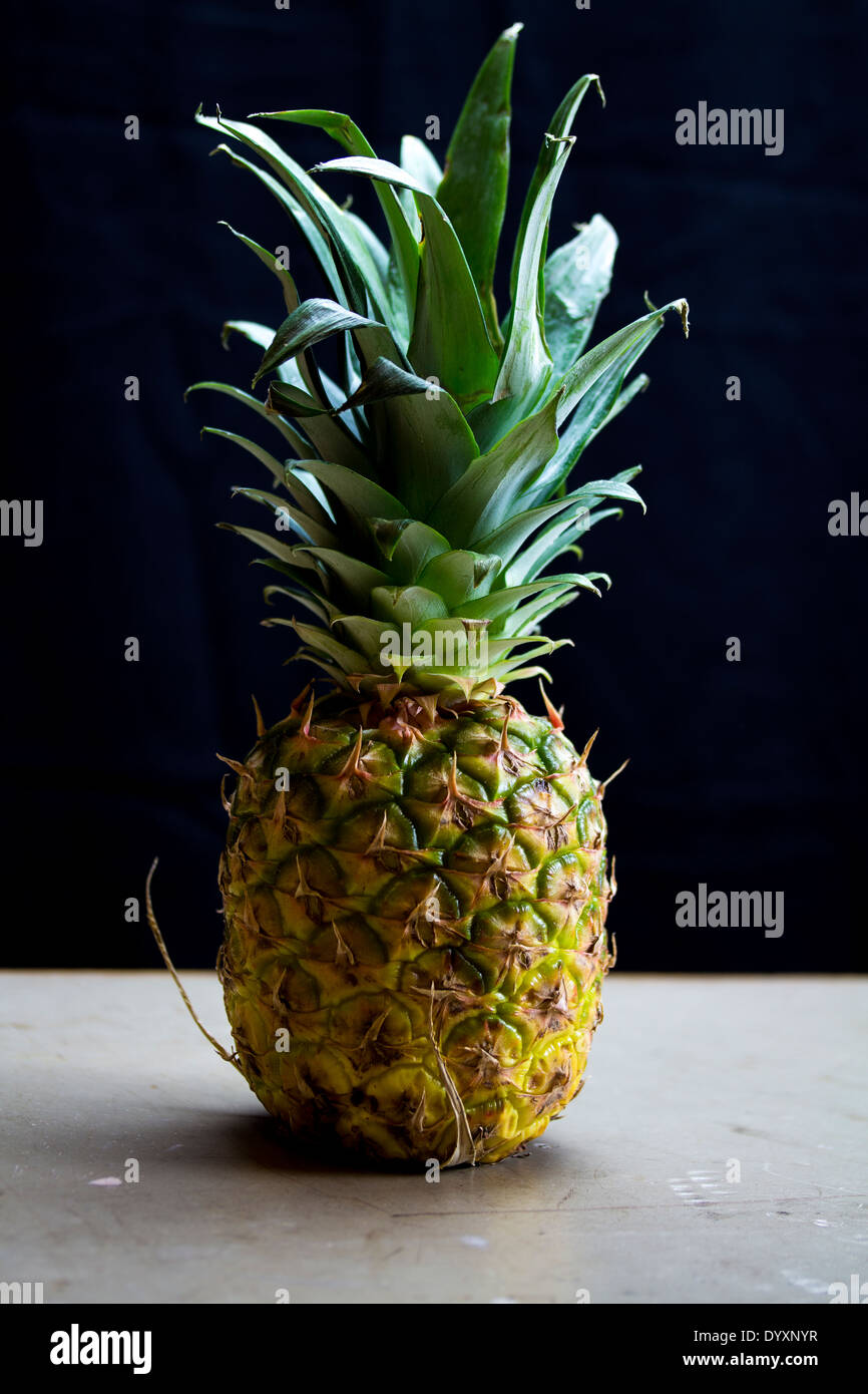Fresh pineapple complete with leaves on a gray table with black background. Side lit. Stock Photo