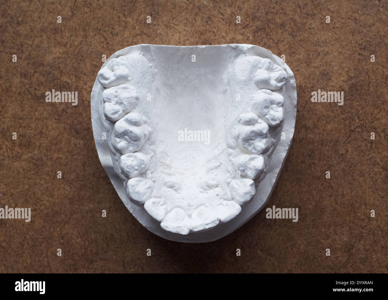 Plaster impression hires stock photography and images Alamy