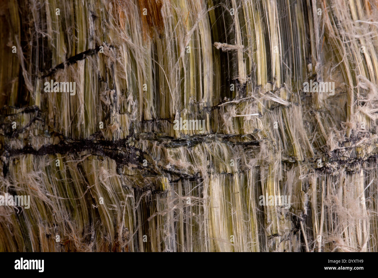 Chrysotile, asbestos, Asbestos hill mine, Quebec, Canada Stock Photo
