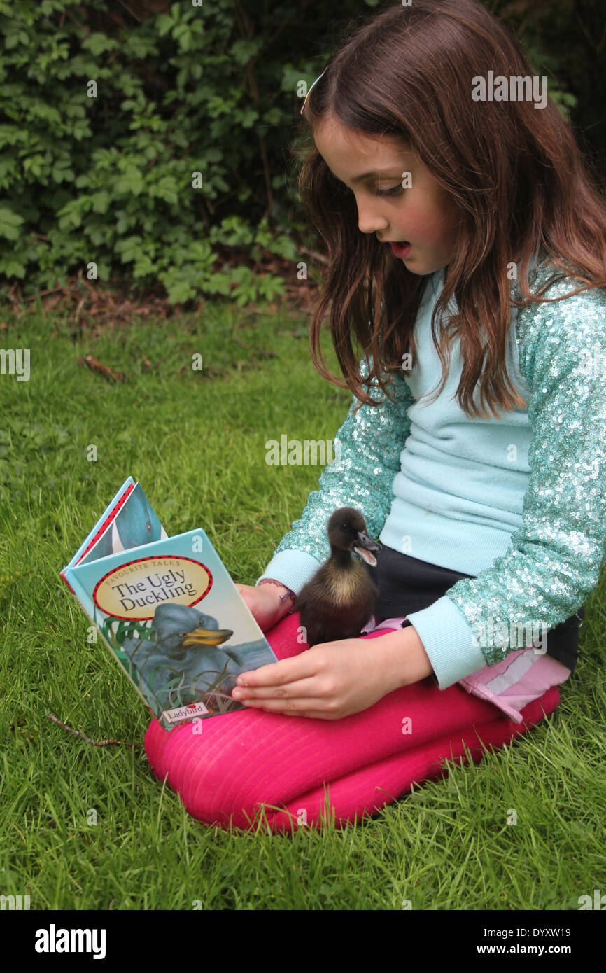 Young girl reading the ugly duckling story to her real pet cayuga duckling, whilst it sits on her lap, UK Stock Photo