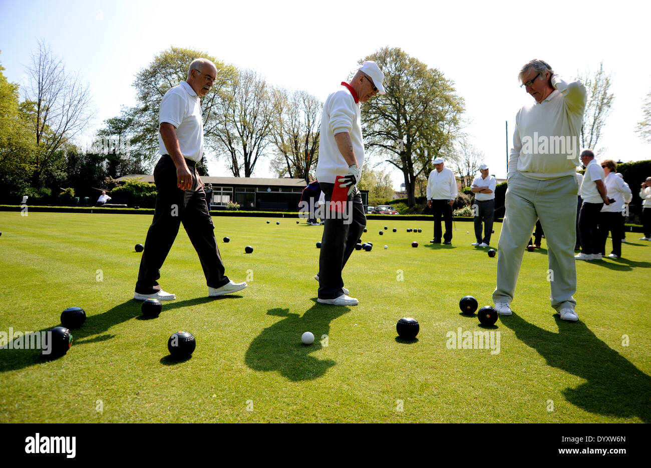Members playing bowls at Hollingbury Park Bowling Club in Brighton UK Stock  Photo - Alamy