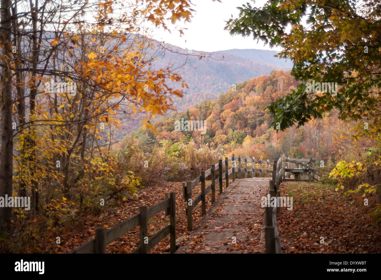 Foot path, autumn, Blue Ridge Mountains, Tennessee Stock Photo
