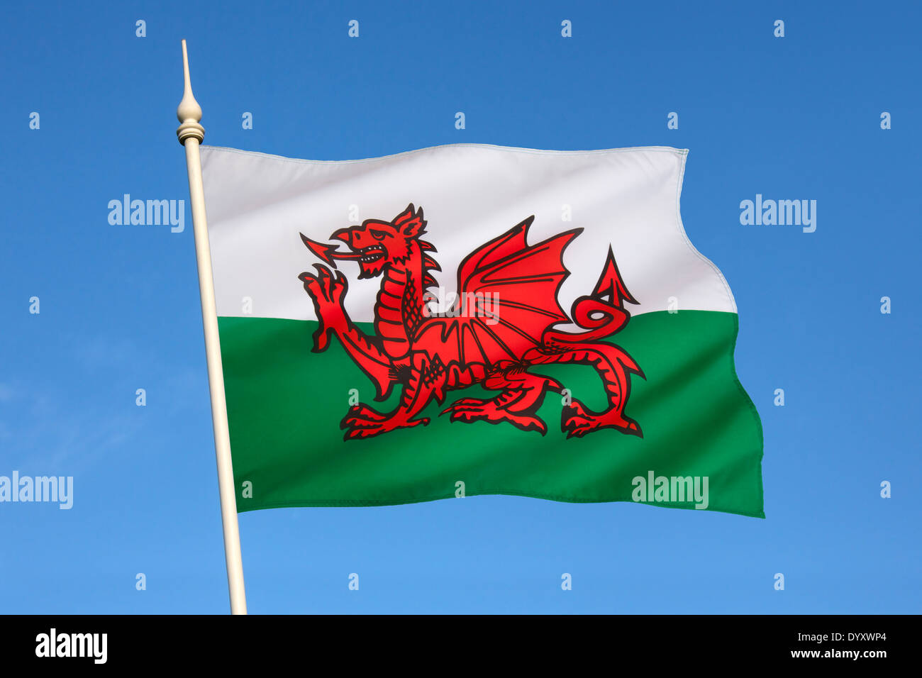 The flag of Wales in the United Kingdom Stock Photo