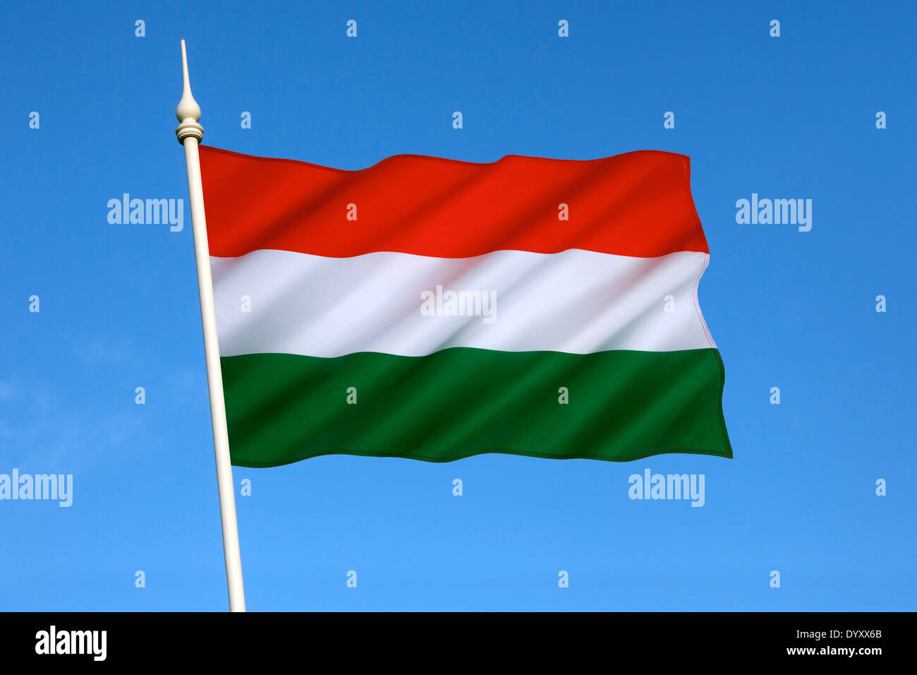 The national flag of Hungary has been the official flag since October 1 1957. Stock Photo