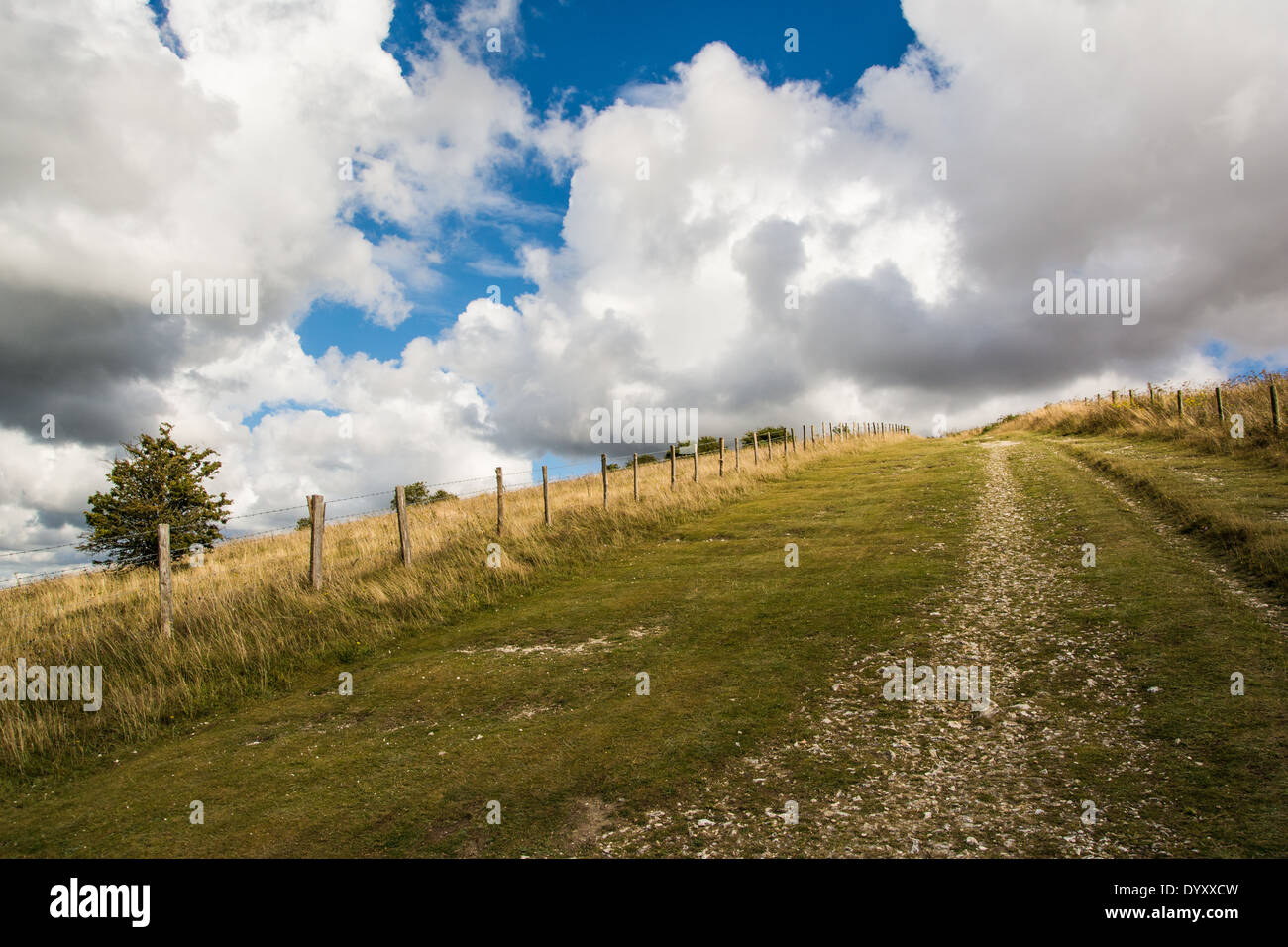 The South Downs Way in the South Downs National Park near the village