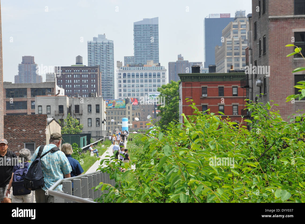 High Line Park, Manhattan, New York City, USA Stock Photo Alamy