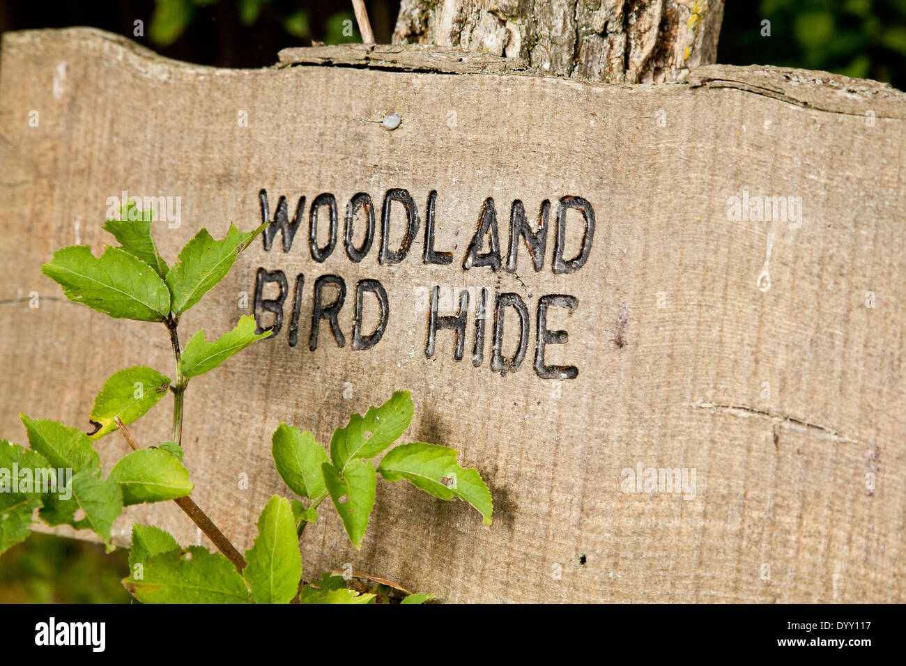 Woodland bird hide sign Stock Photo