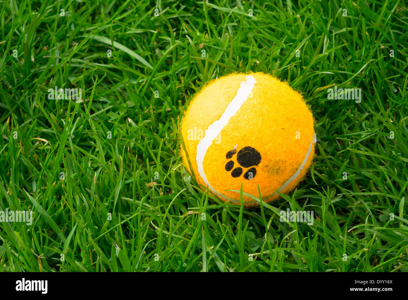 Dog's ball, an orange coloured tennis ball with a dog paw print logo