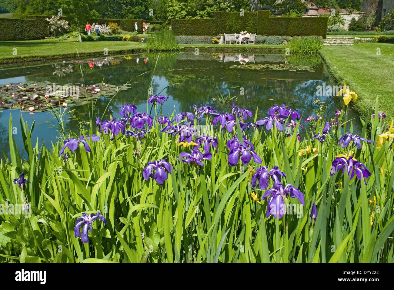 Lily pond at Batemans, former home of Rudyard Kipling, Burwash, East Sussex Stock Photo
