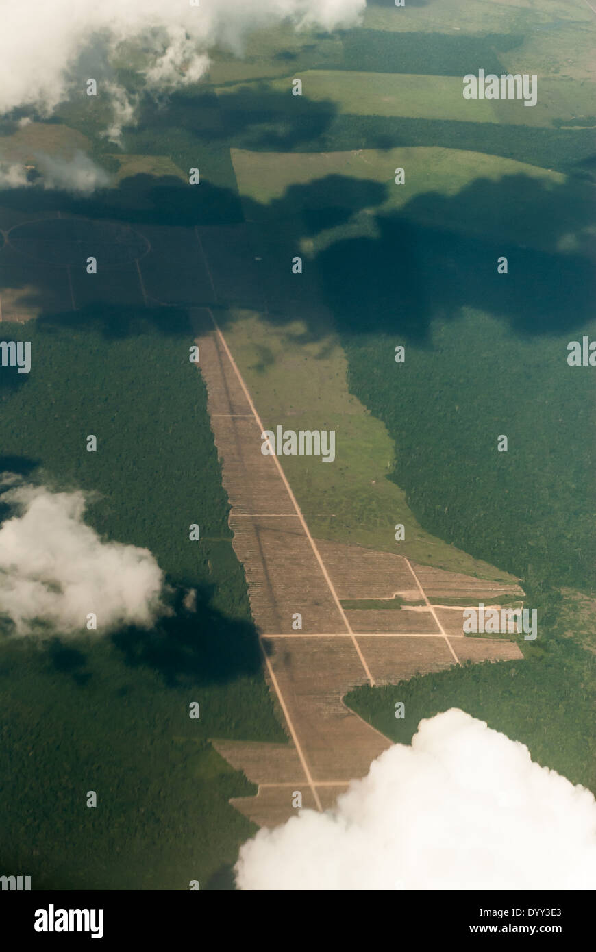 Para State, Brazil. Deforestation. Aerial view of new road with neatly laid out geometric field boundaries. Stock Photo