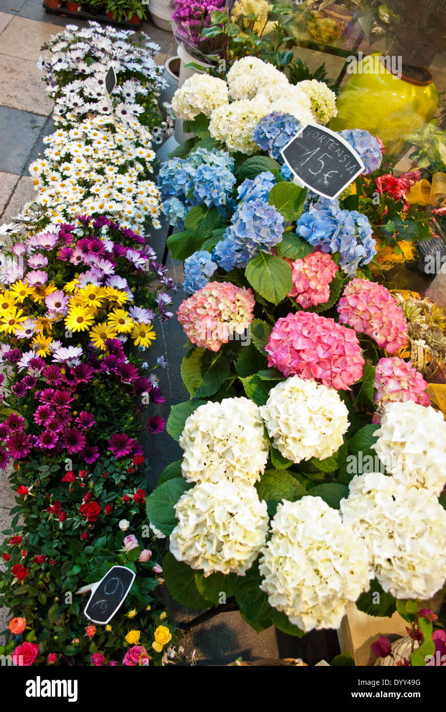 Flower shop in a street in Zaragoza, Aragón, Spain Stock Photo Alamy