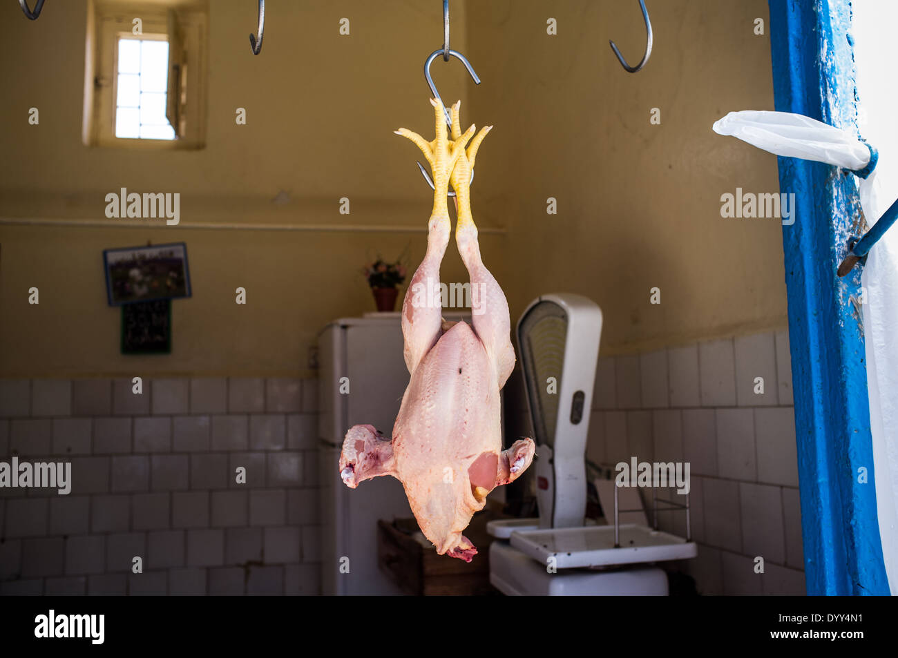 Stall with raw chickens on the market, Morocco Stock Photo